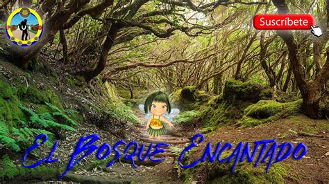 bosque encantado de orrius|Ruta Bosque encantado de Òrrius